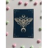 Moon Moth print